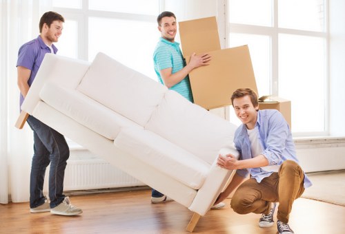Risk assessment and safe moving procedures for a home removal